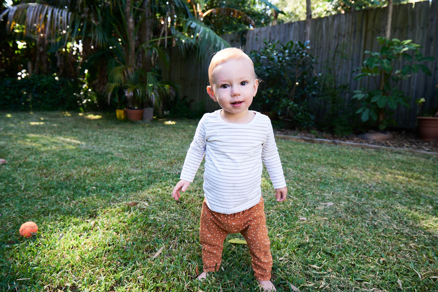 image comparison after