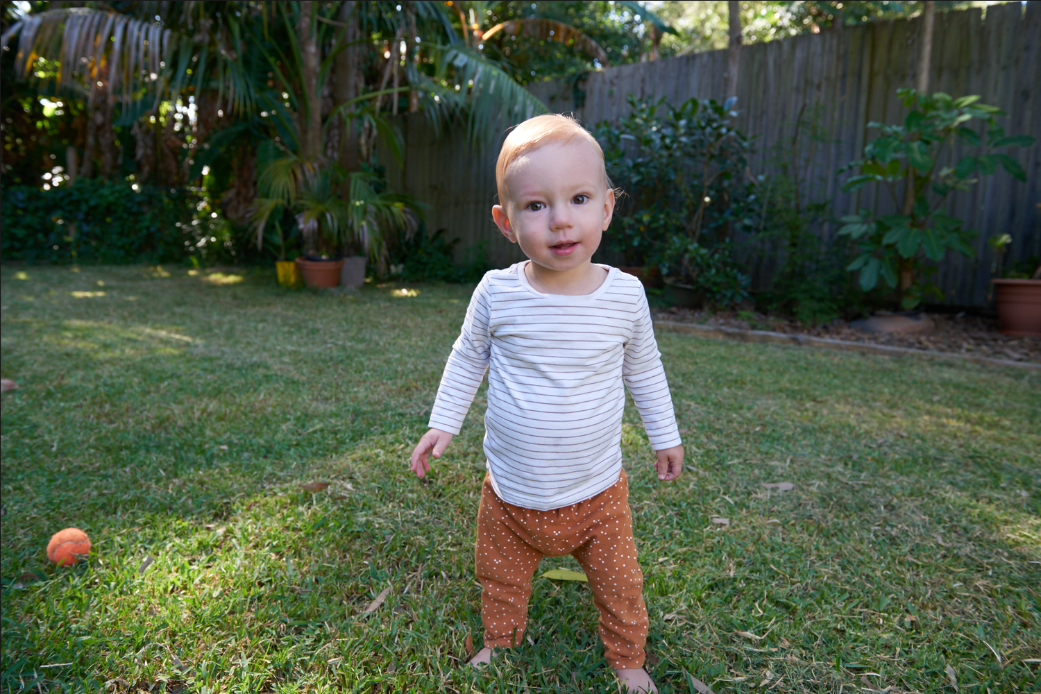 image comparison before